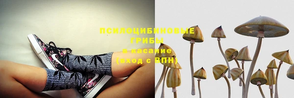 прущий лед Аркадак